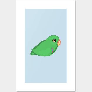 Eclectus Birb Posters and Art